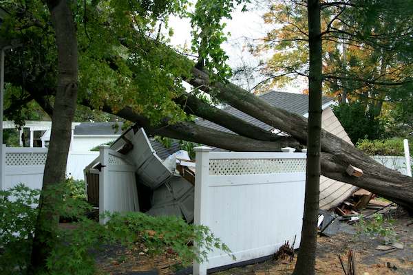 hurricane damage cleanup, tree damage restoration, storm damage restoration