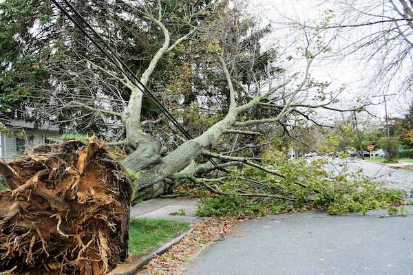 tornado damage cleanup, tornado damage restoration, storm damage restoration, tornado damage