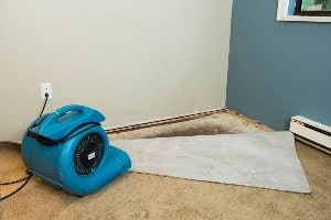 water damage