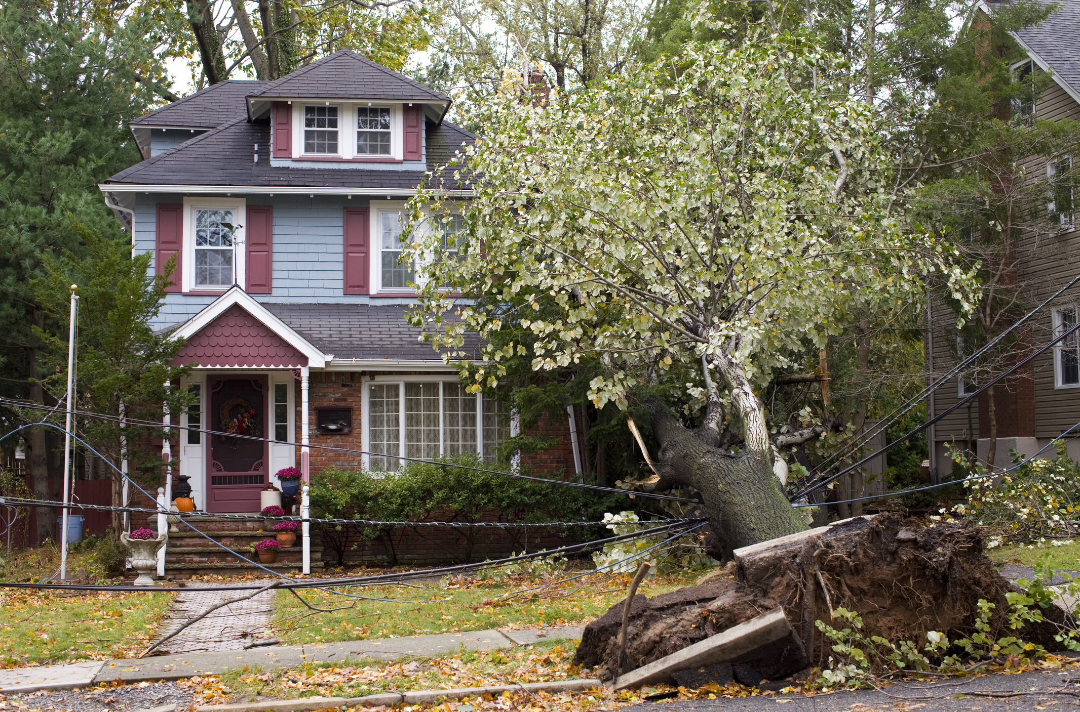 Storm Damage Eastpointe