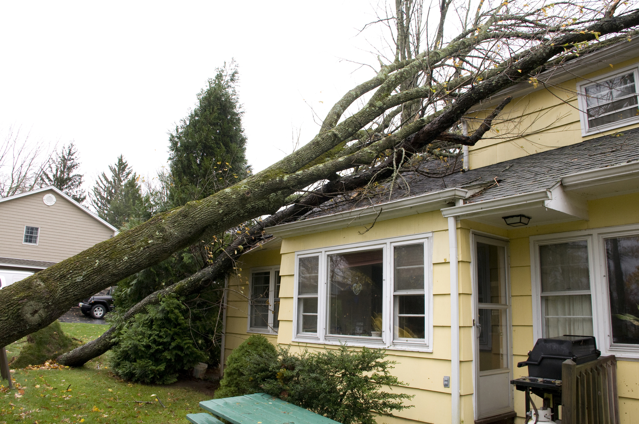 Storm Damage Westland