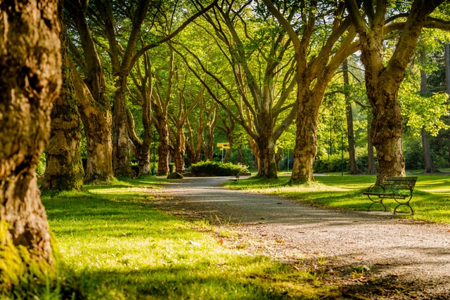 Heritage Park Farmington hills