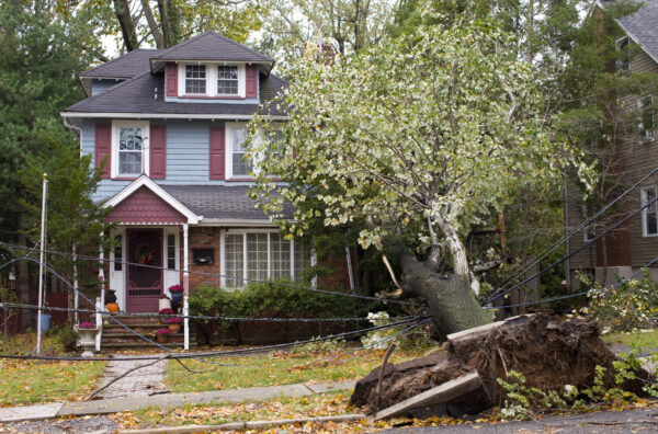 Storm Damage Grosse Pointe